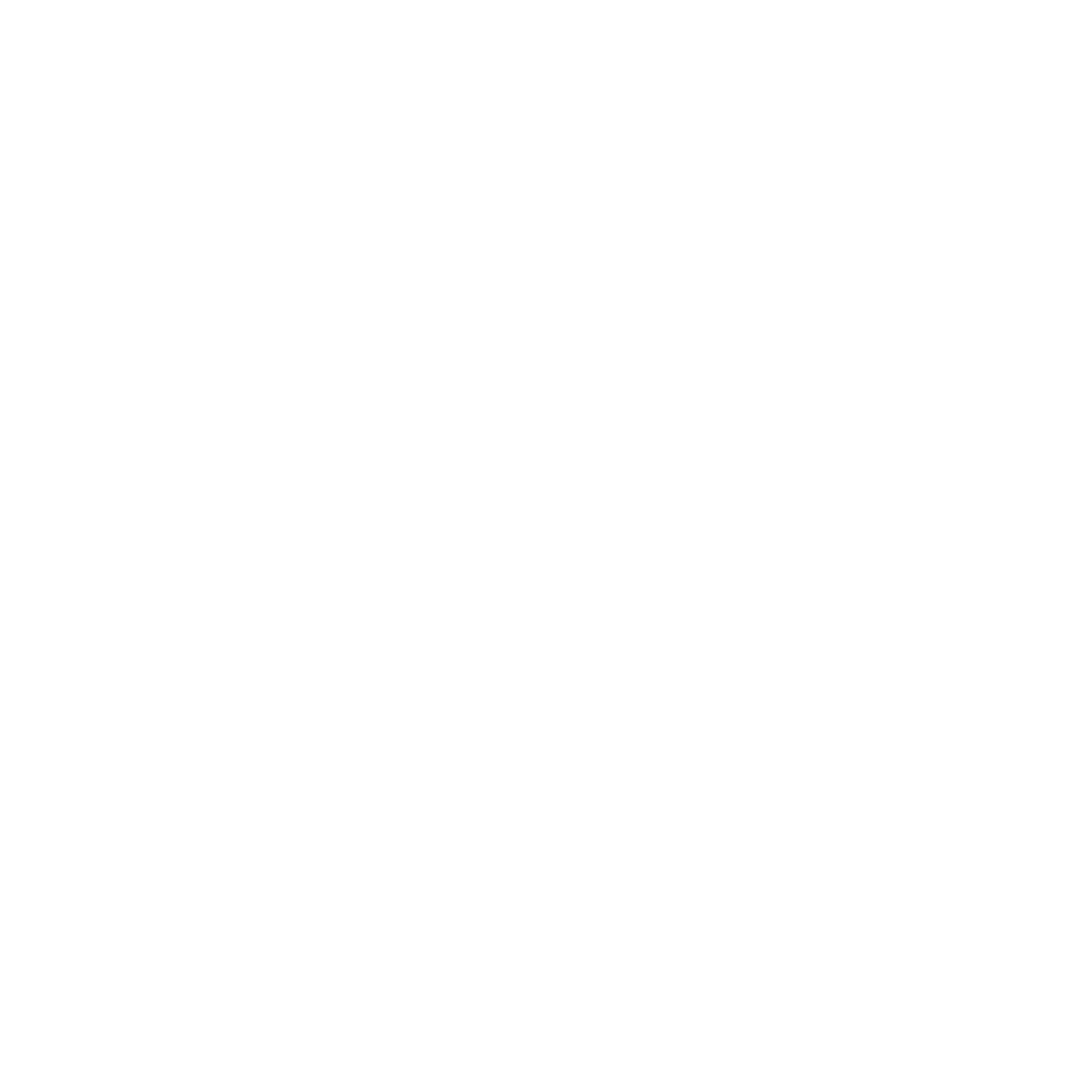 Academia Vioniko