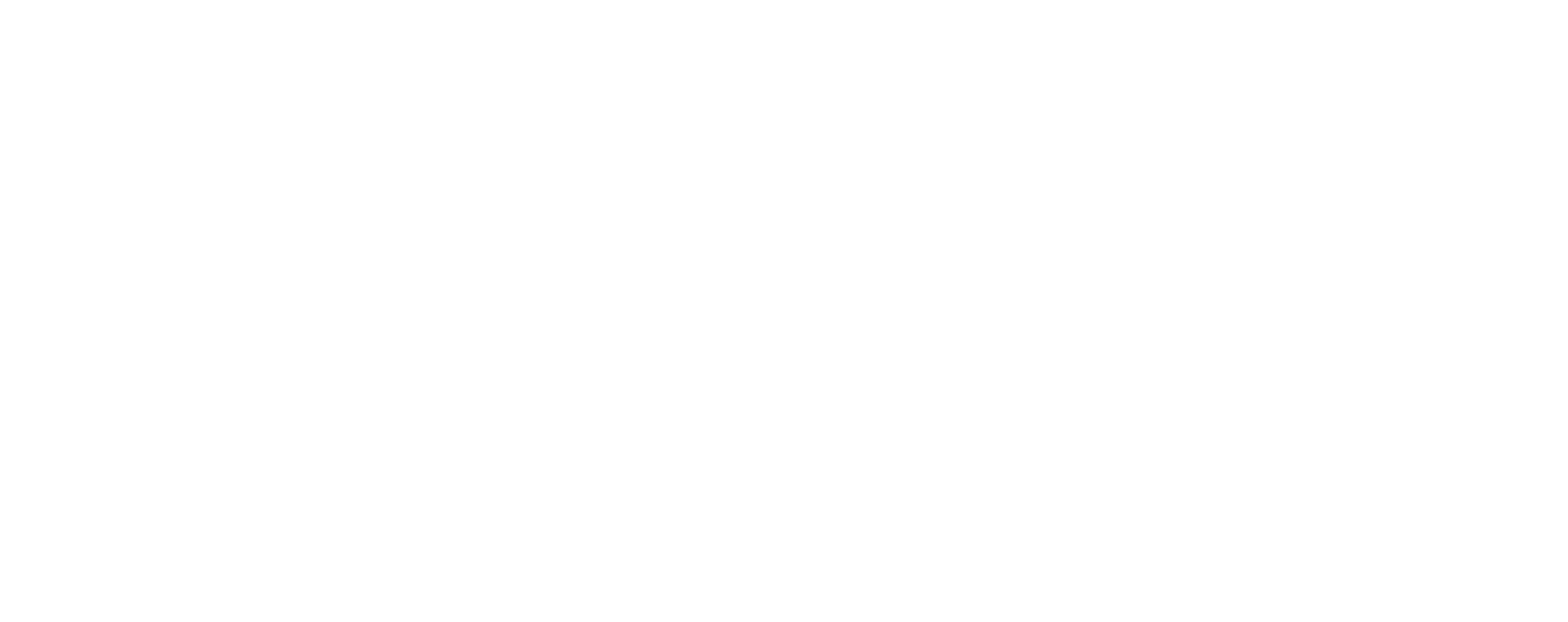 Academia Vioniko